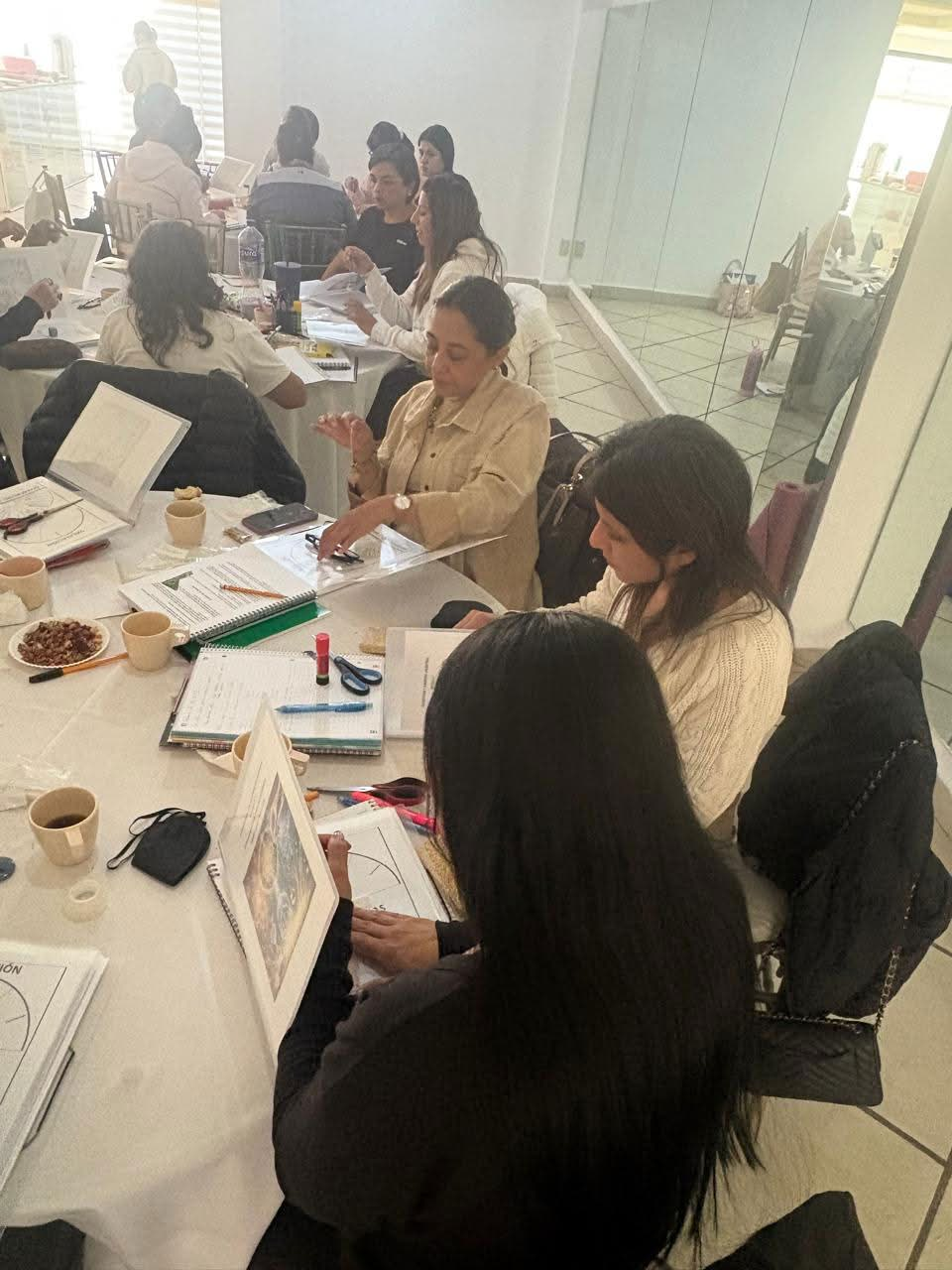 Curso y diplomado 13
